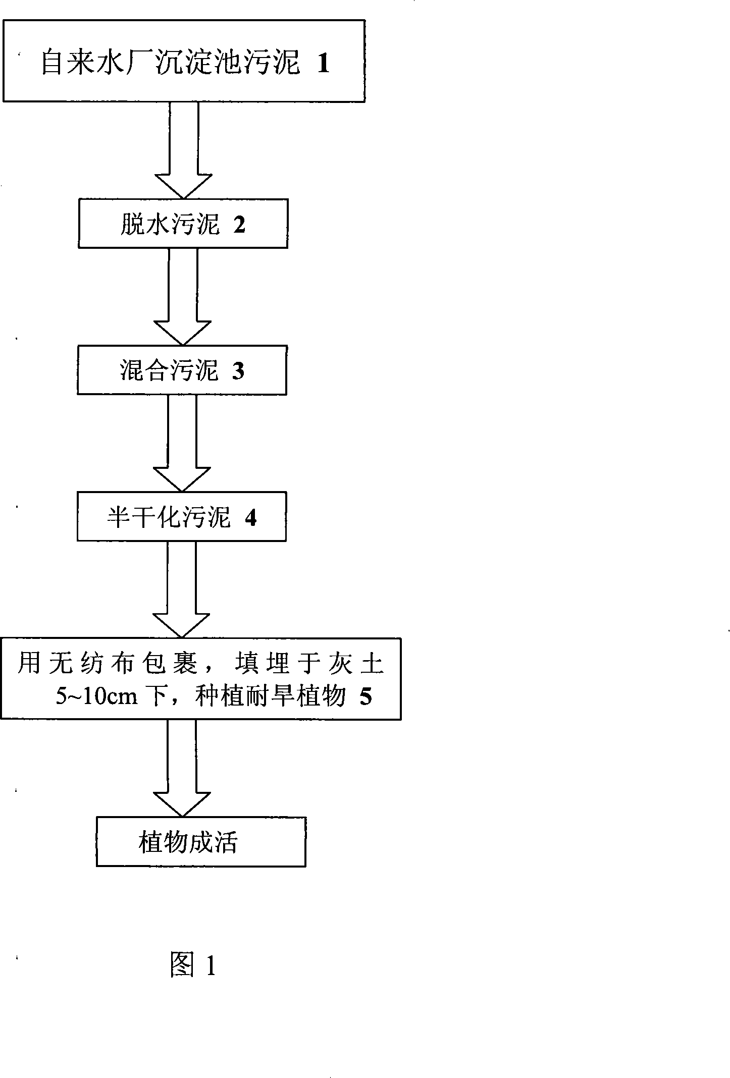 Integral treatment utilization method for sludge produced from water works