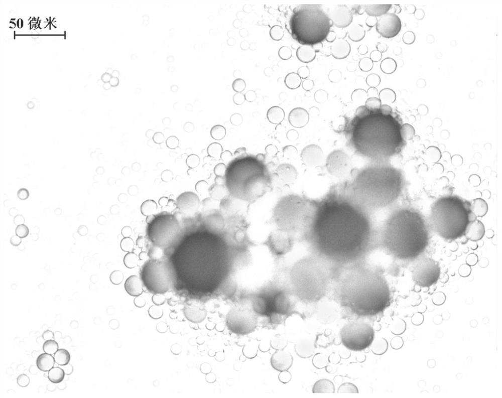 A kind of rubber tree dead bark rehabilitation nutrient microcapsule and its preparation method and application