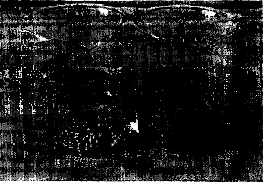 Process for polyvinyl alcohol embedding preparation of spherical bentonite