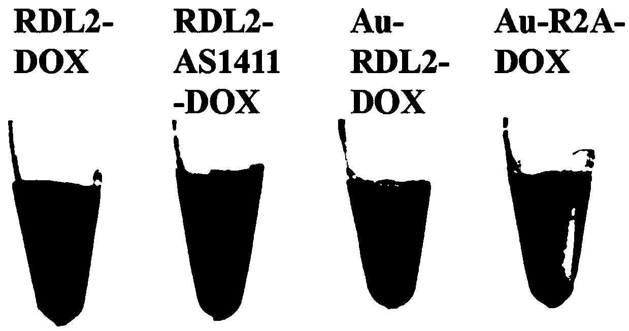 DNA nano-material, and preparation method and application thereof