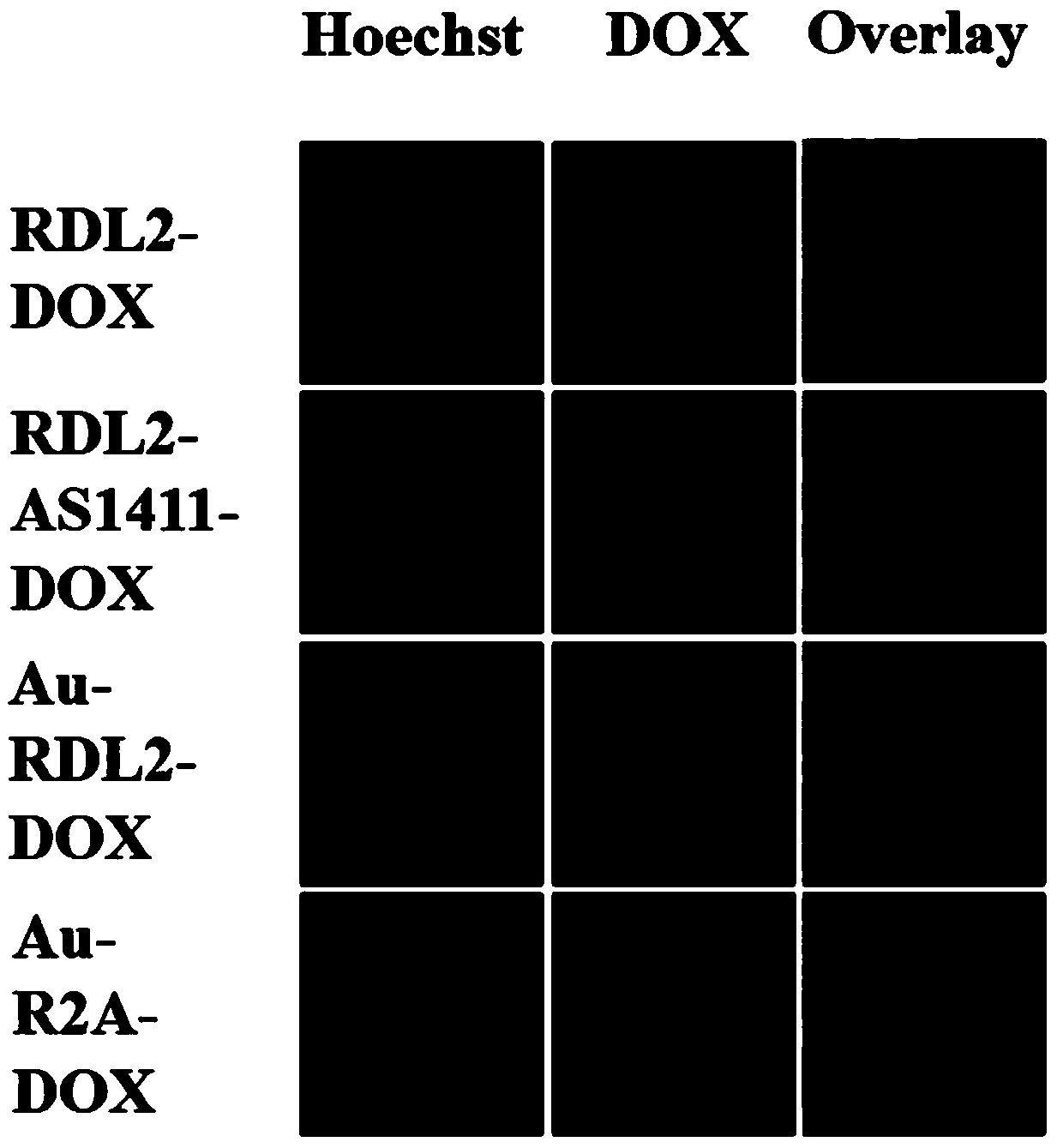 DNA nano-material, and preparation method and application thereof