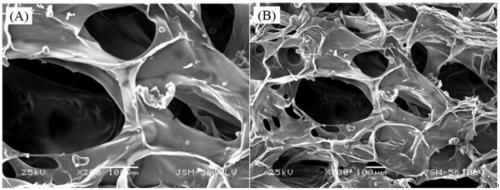 Modified succinyl chitosan hydrogel as well as preparation method and application thereof