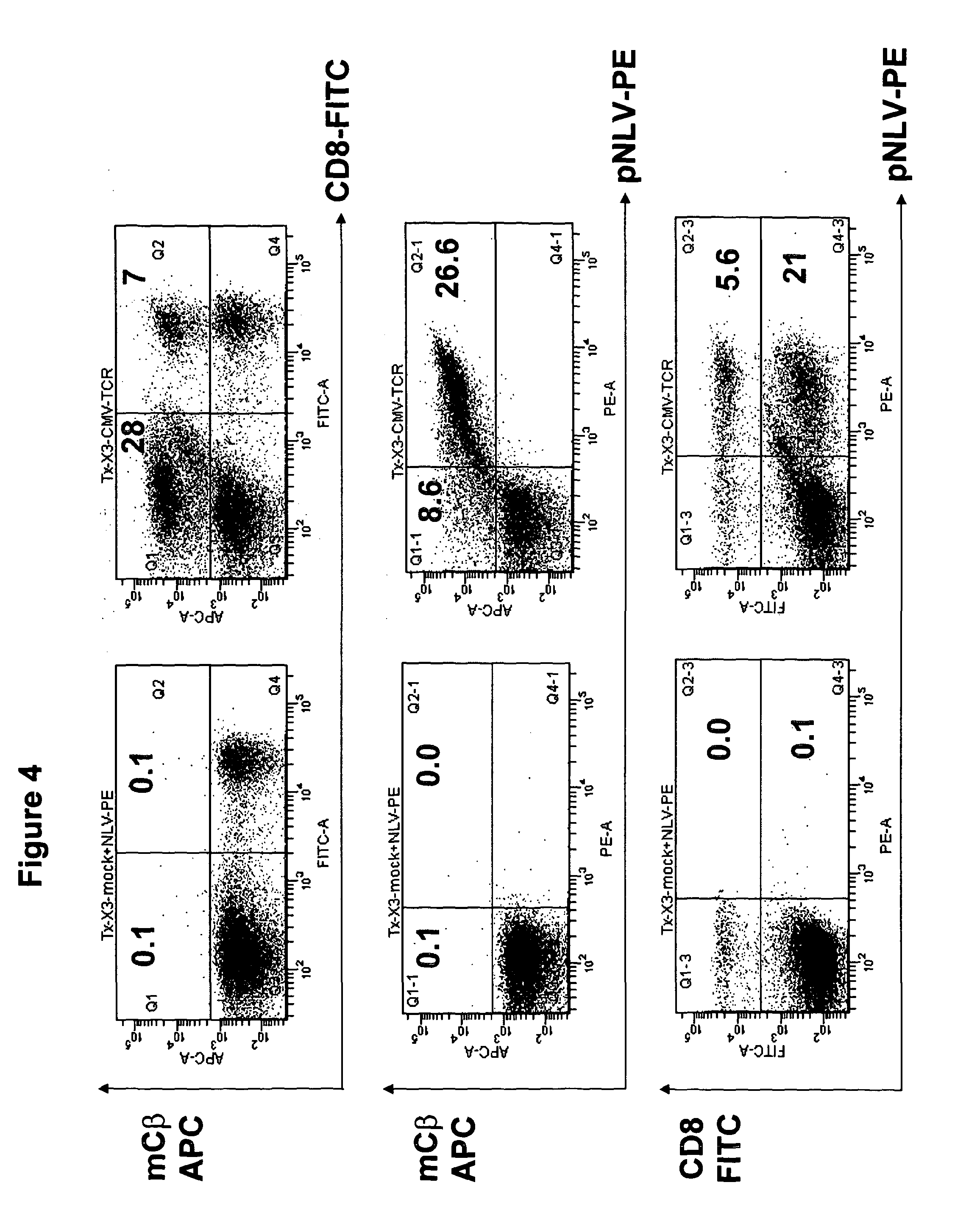 T-cell receptor capable of recognising an antigen from cytomegalovirus