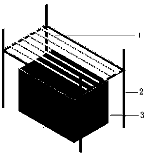 Zostera marina indoor long-term cultivation method and device