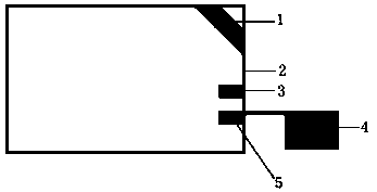 Zostera marina indoor long-term cultivation method and device