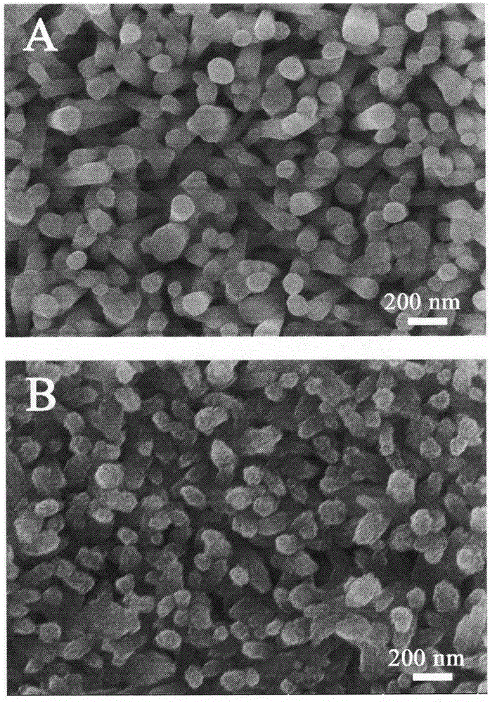 Carbon quantum dot loaded cuprous thiocyanate photovoltaic film and preparation method thereof