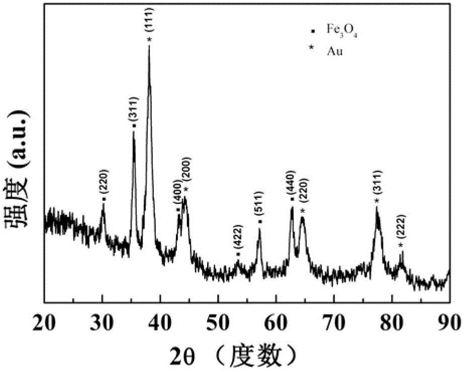 Preparation method of Fe3O4/Au composite nanoparticles