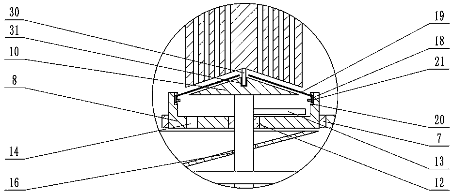 Astragalus membranaceus slicing machine