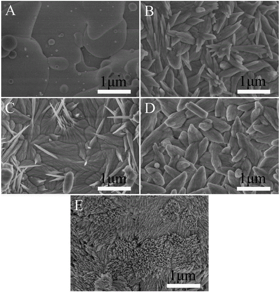 HA (Hydroxyapatite) coating with high degree of crystallinity and nano-structure and preparation method of HA coating