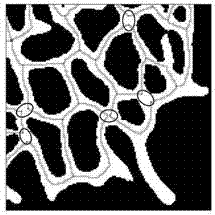 Pore throat recognition method with consideration of pore throat tail end