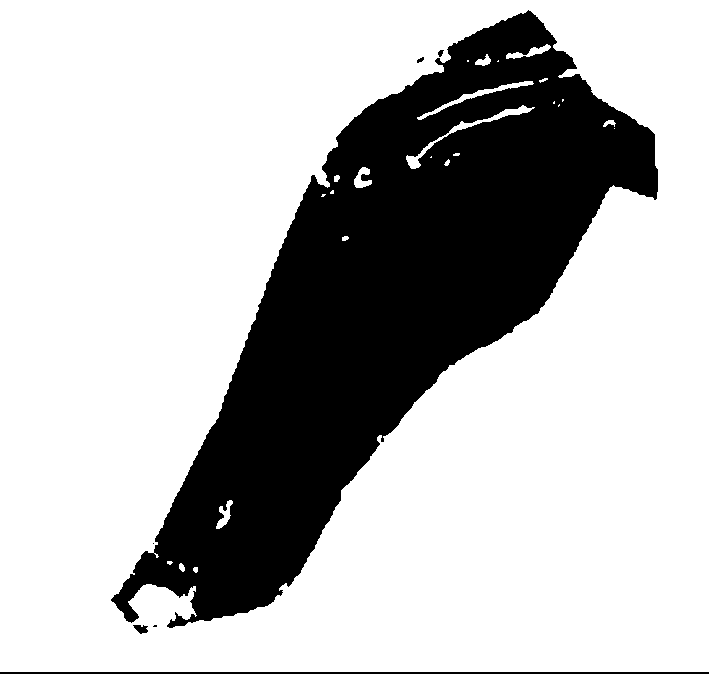 Outcrop residual coal burning center accurate detection method based on high-resolution remote sensing image