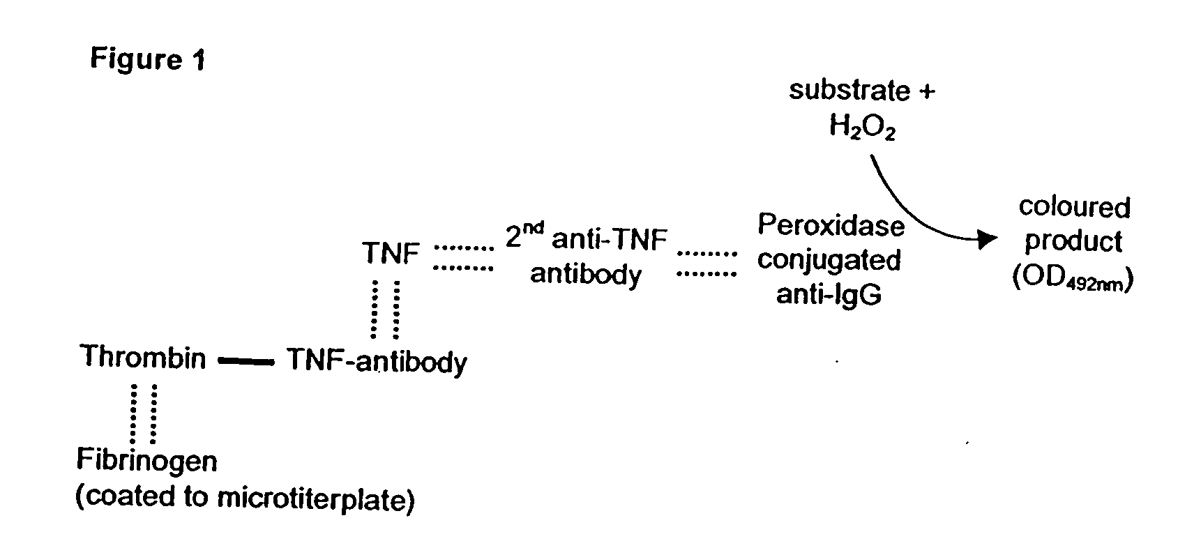 Fibrin/fibrinogen-binding conjugate