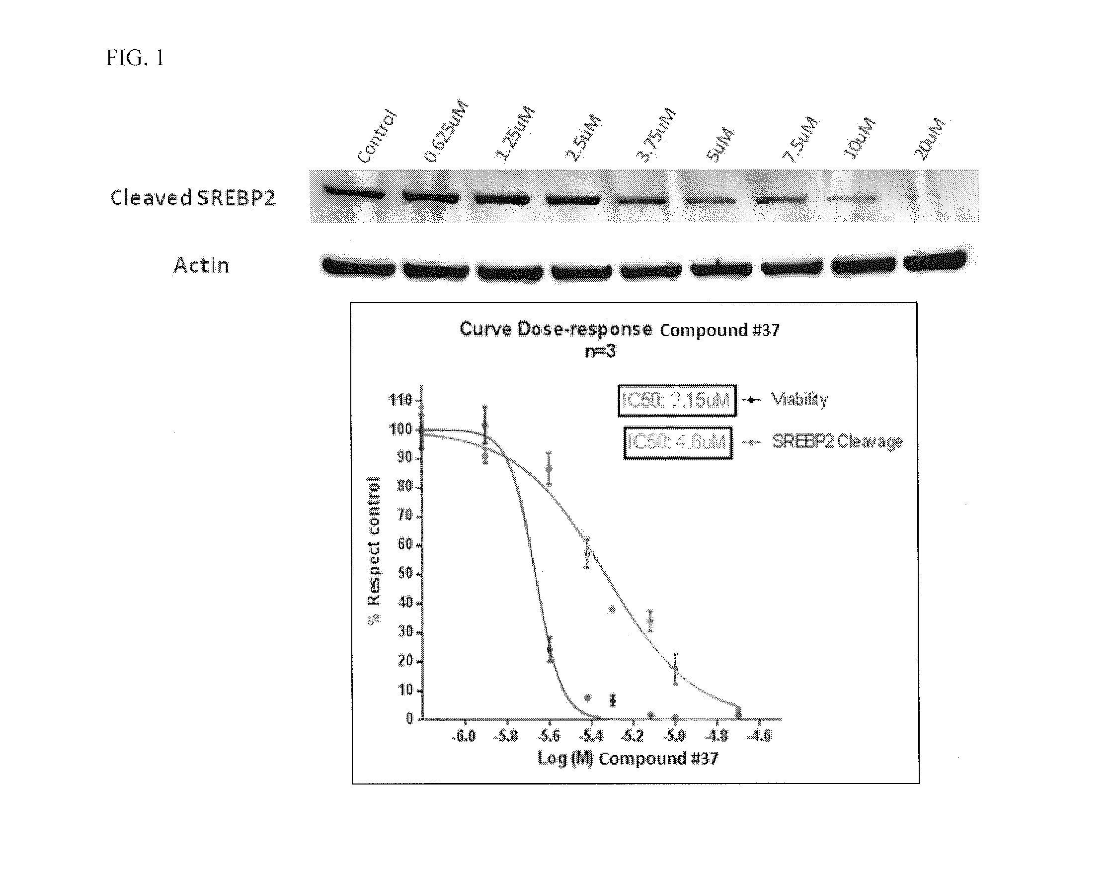 Heterocyclic compounds and methods of use