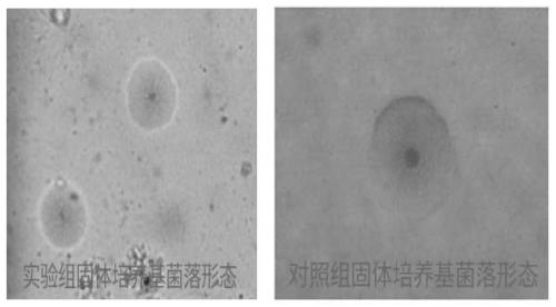 Culture medium and fermentation culture method used for high-density culture of mycoplasma capricolumsubsp. capripneumonia