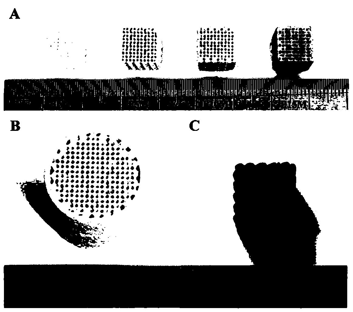 Photothermal bone repair material for treating osteosarcoma and application of photothermal bone repair material