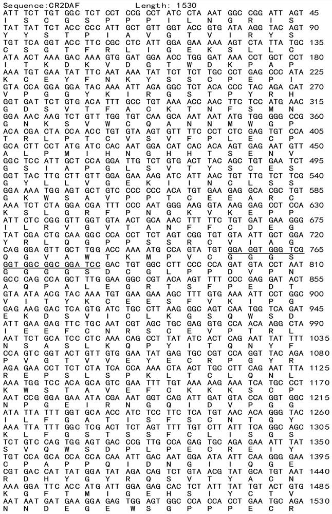 Human target complement inhibitor protein mcr2-daf and its application