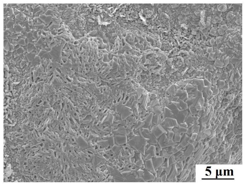 Method for preparing (Mn, Co) 3O4-Li2O coating through liquid phase sintering and application