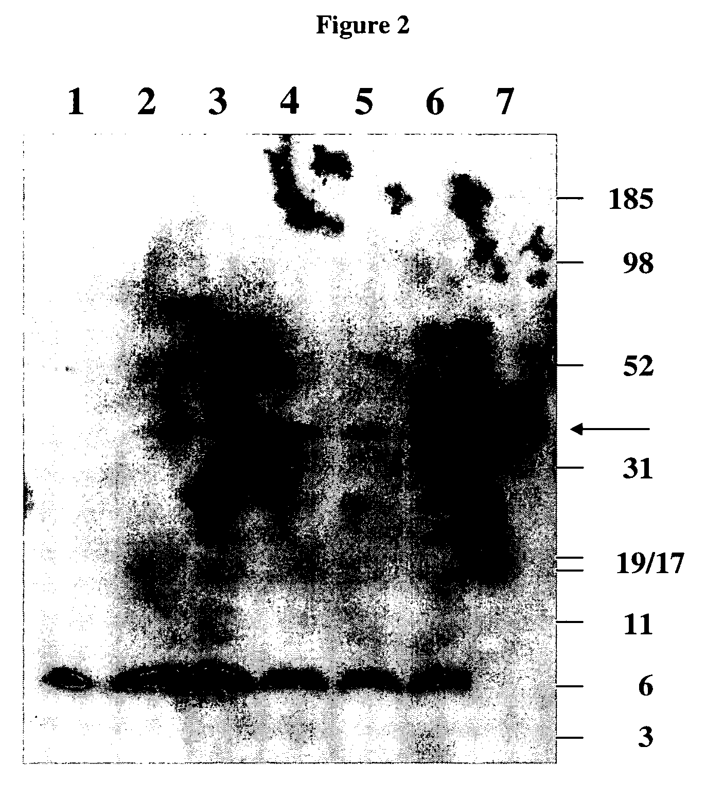 Monoclonal antibodies that specifically block biological activity of a tumor antigen