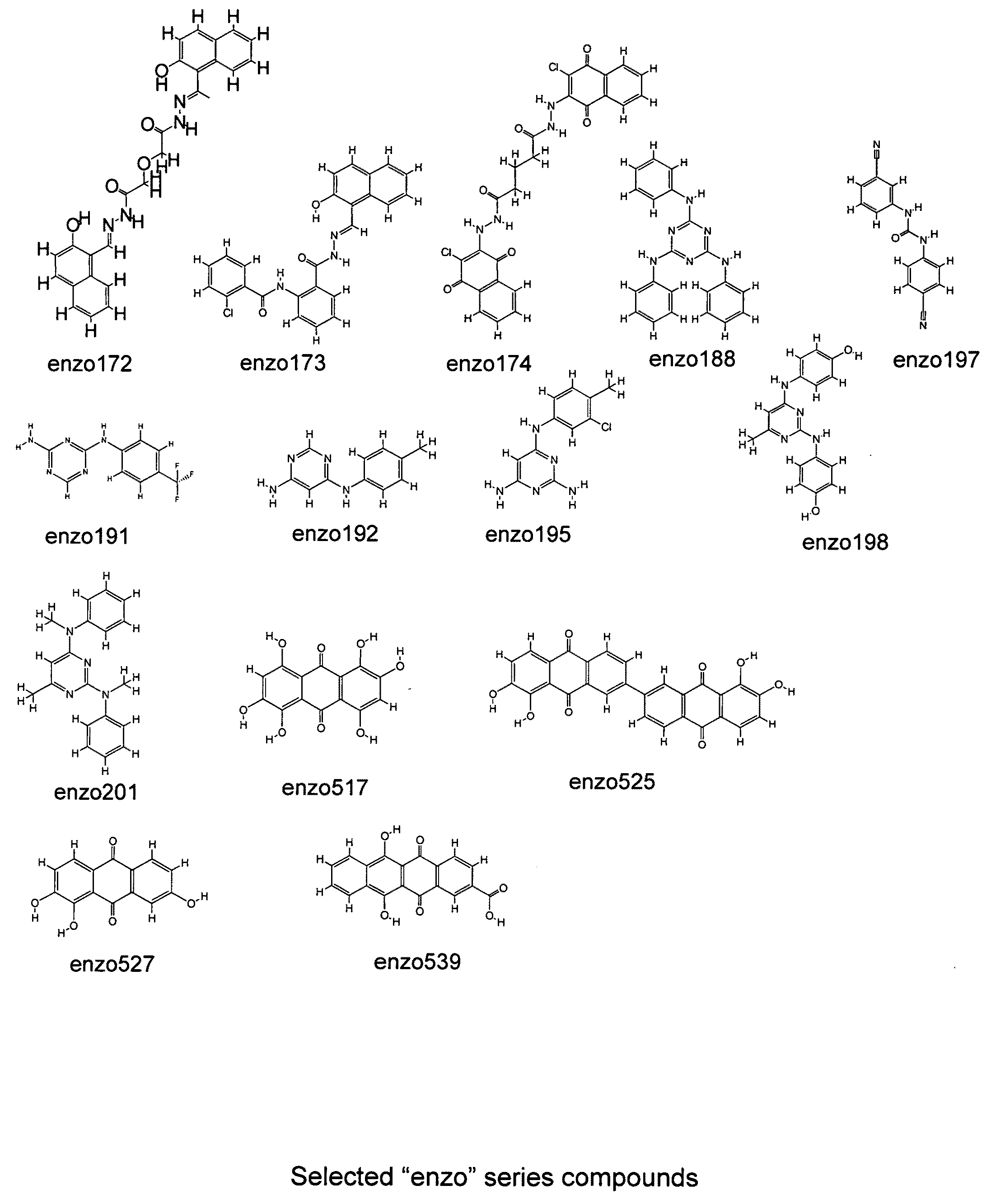 Compounds and assays for controlling Wnt activity