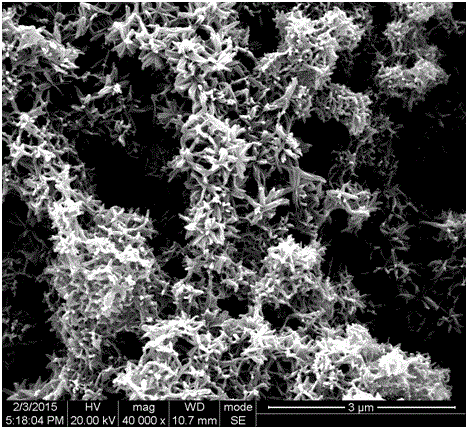 A kind of preparation method of rattan-shaped three-dimensional nanostructured nickel cobaltate material