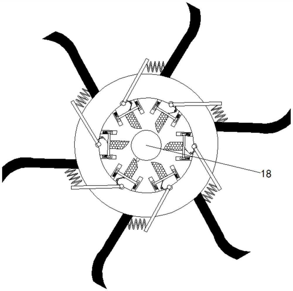 Device for classifying and purifying domestic sewage