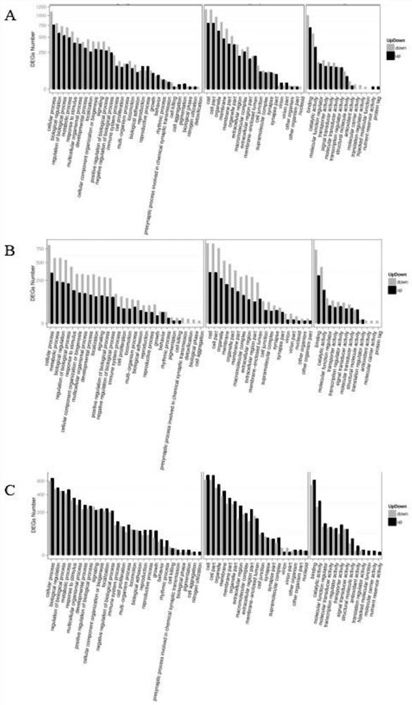 Application of Guizhou black goat lambing major genes, primer pairs and kit