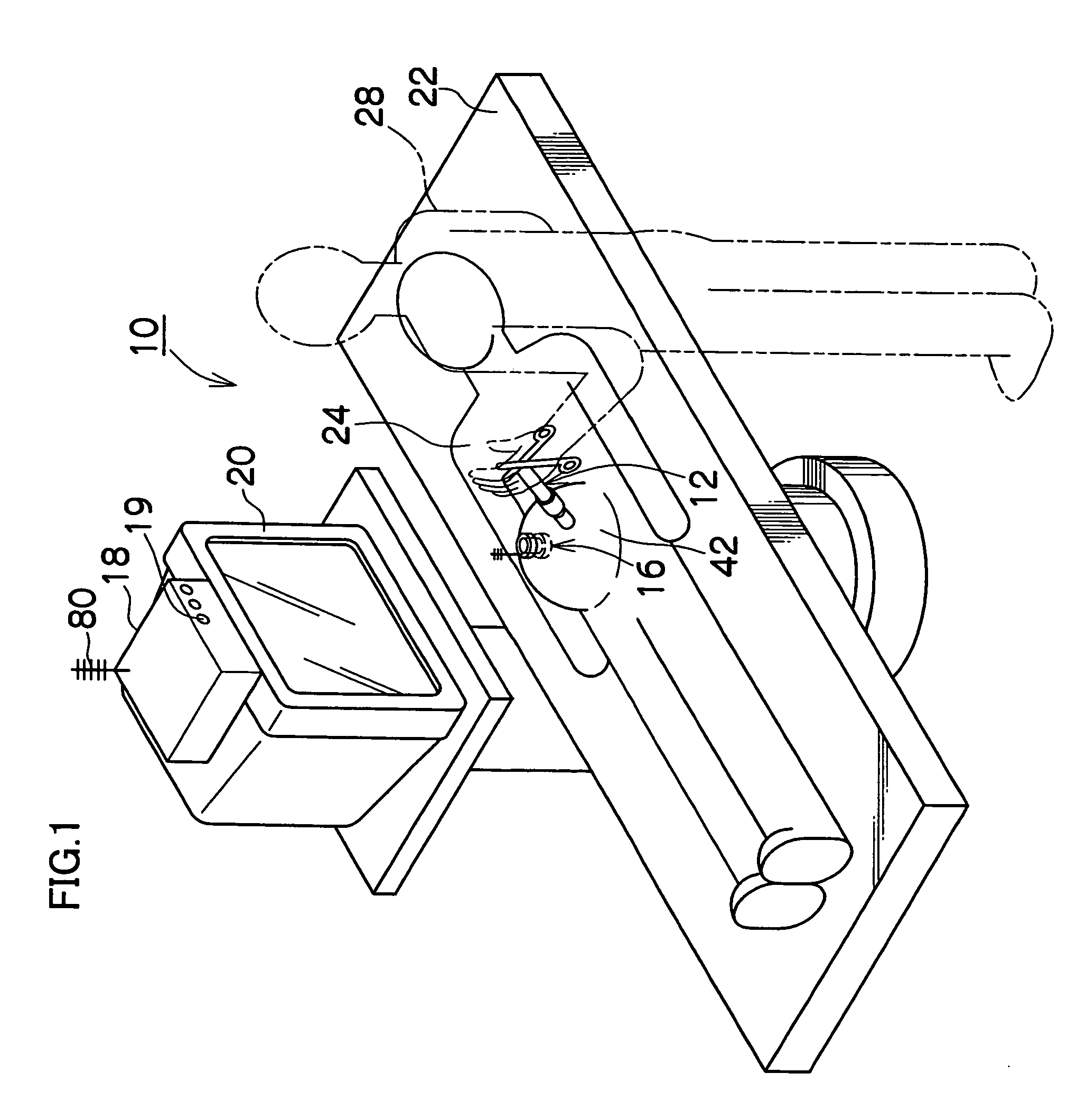 Body cavity observation apparatus