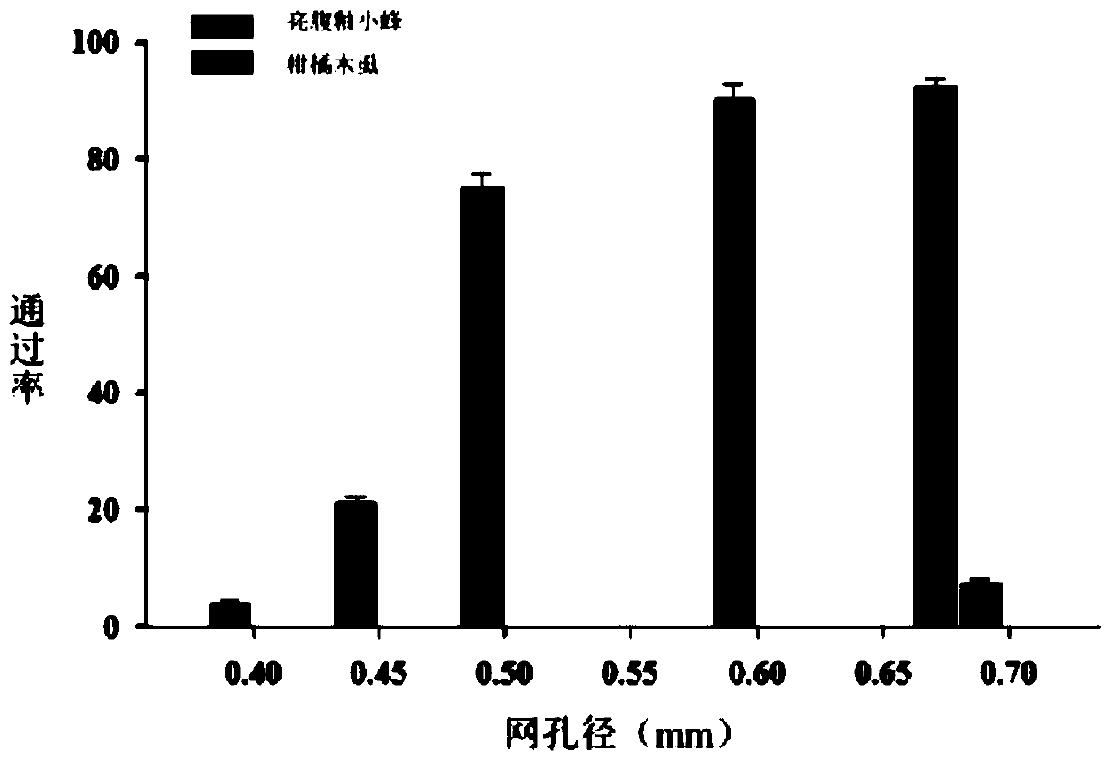 Tamarixia radiate banker plant system as well as establishment method and application thereof