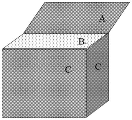 Tamarixia radiate banker plant system as well as establishment method and application thereof