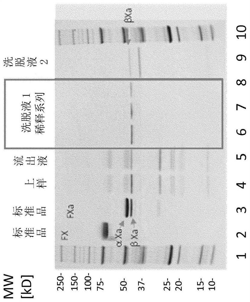 FX ACTIVATION PROCESS AND USE THEREOF IN PREPARATION OF FXa COMPOSITION