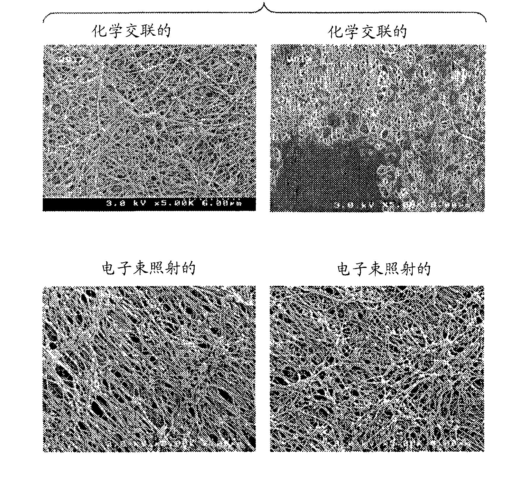 Processes for forming permanent hydrophilic porous coatings onto a substrate, and porous membranes thereof