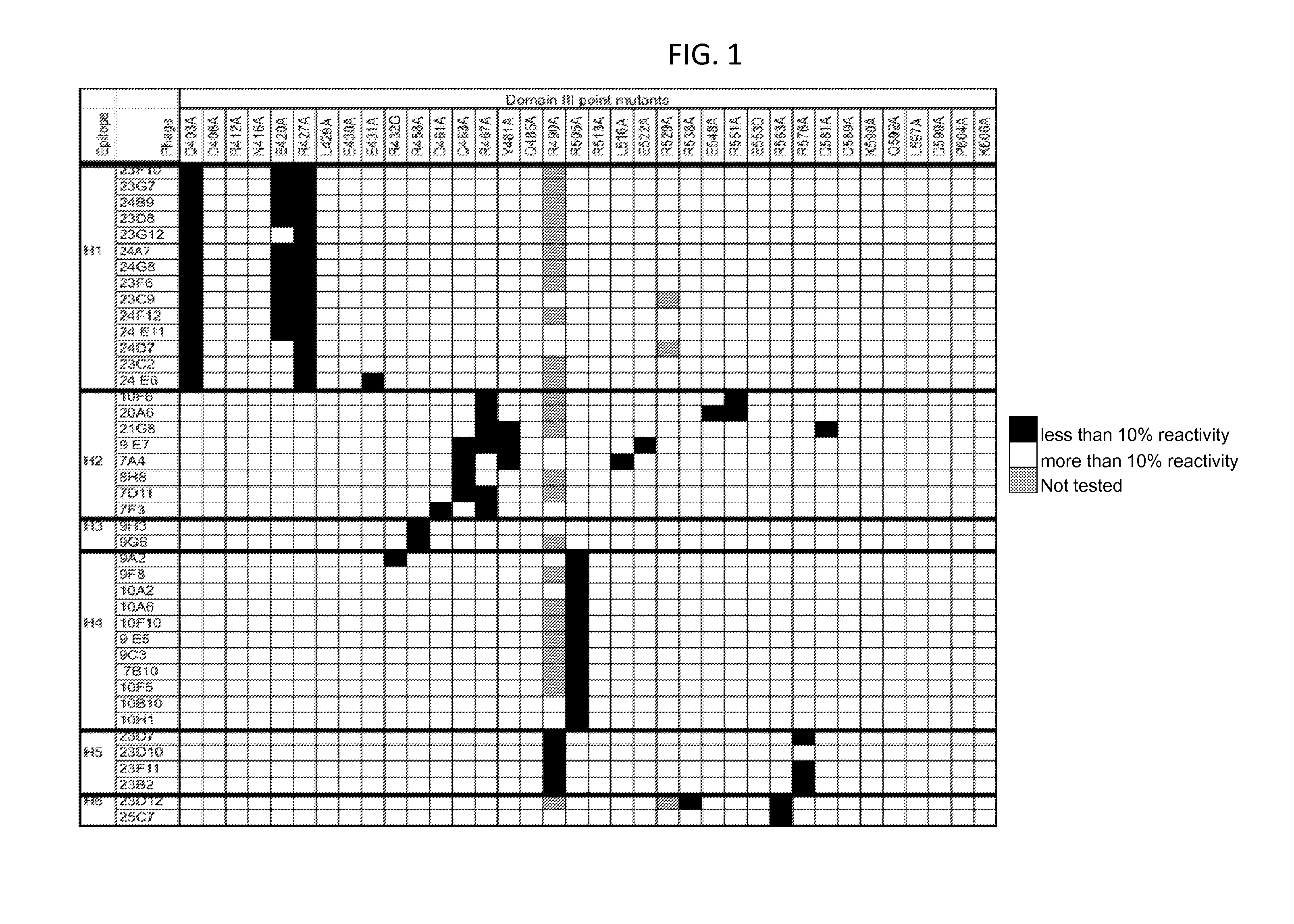 Pseudomonas exotoxin a with less immunogenic b cell epitopes