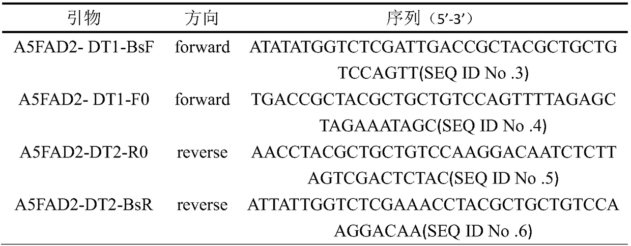 Method for obtaining high oleic acid rapeseed by means of gene editing technology