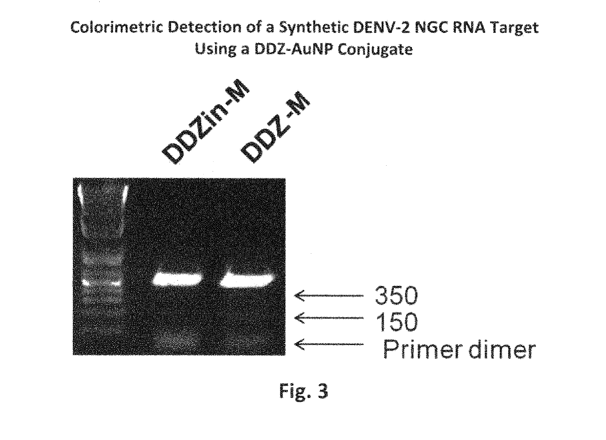 DNAzyme-nanoparticle conjugates and methods of use thereof