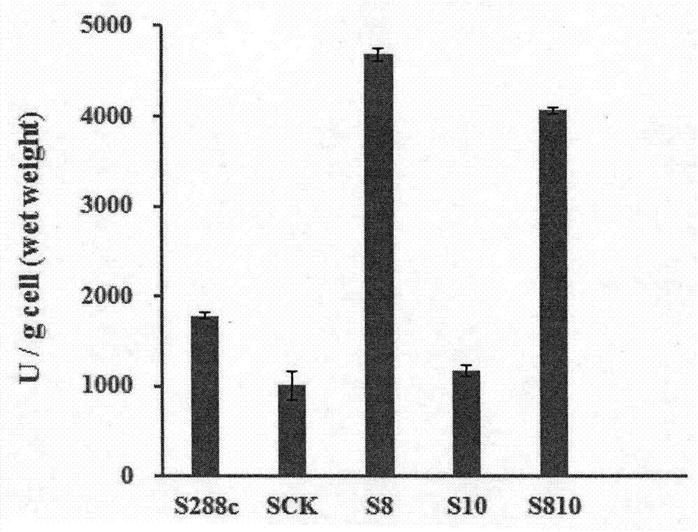 Construction method and application of saccharomyces cerevisiae genetically engineered bacterium with high yield of 3-methylthio-propanol