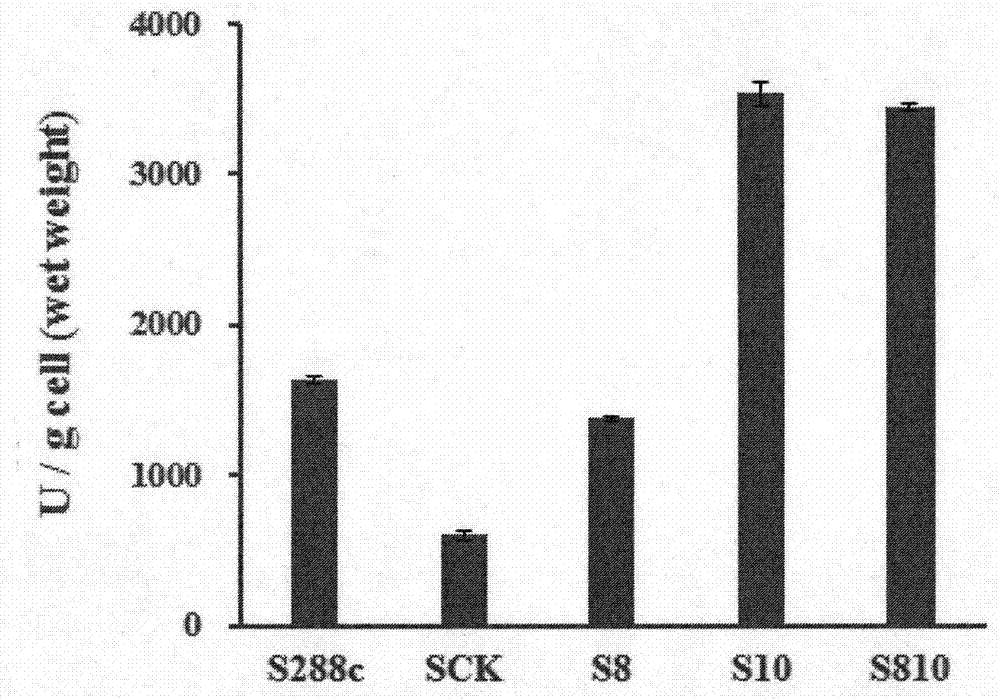 Construction method and application of saccharomyces cerevisiae genetically engineered bacterium with high yield of 3-methylthio-propanol