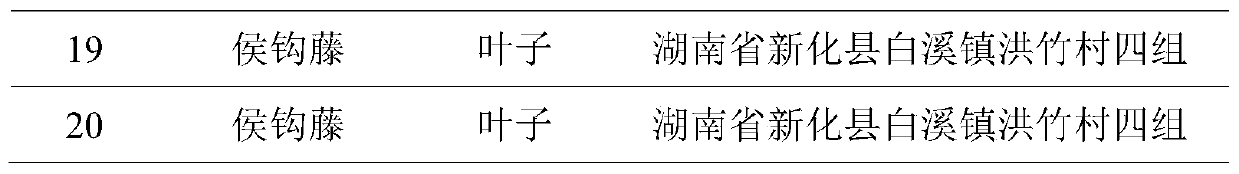 A kind of molecular identification method of Uncaria housi