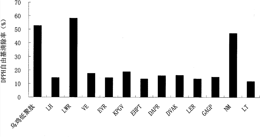 Preparation method of black-bone chicken oligopeptide and separation and identification method of active peptide fragment