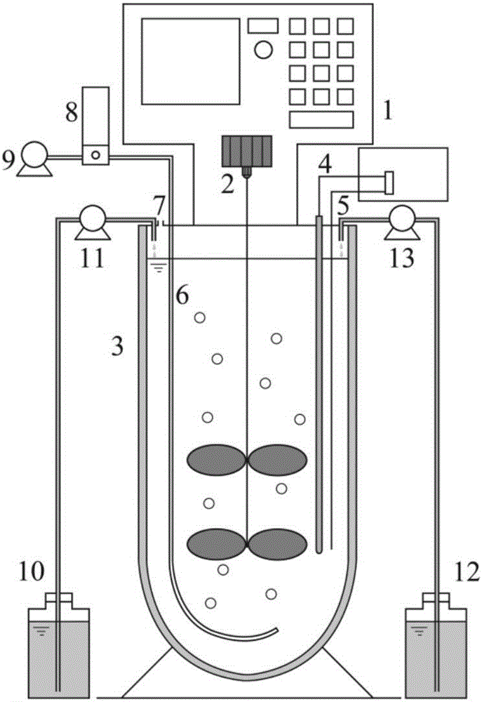 Method for screening and enrichment culture of nitrifying bacterium floras with alternation of intermittent ammonia nitrogen flow and intermittent operation