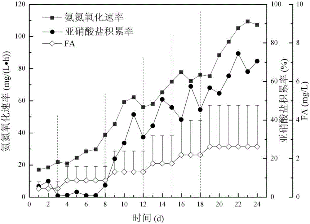 Method for screening and enrichment culture of nitrifying bacterium floras with alternation of intermittent ammonia nitrogen flow and intermittent operation