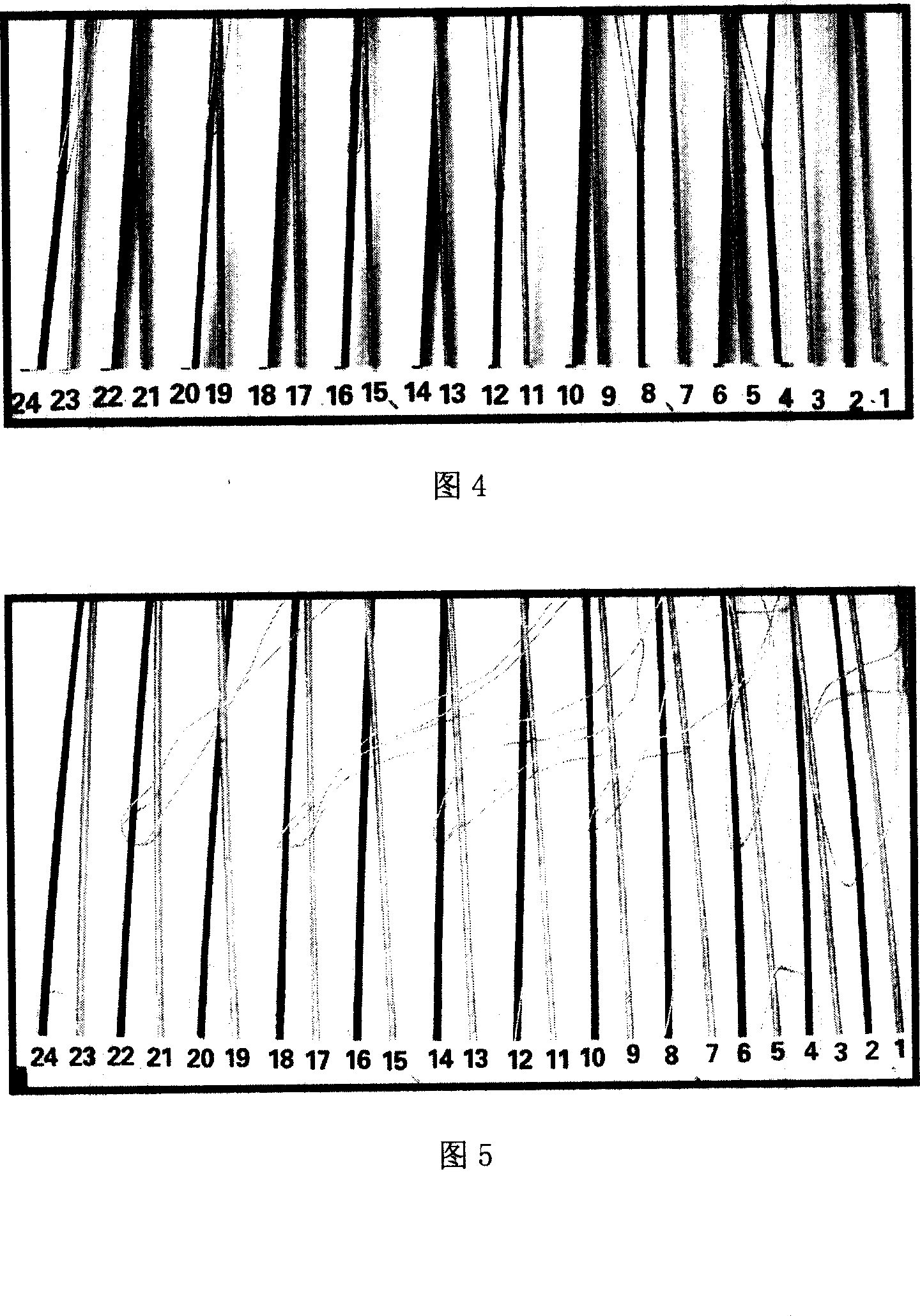 Device and method for weaving four-and-complexgauze