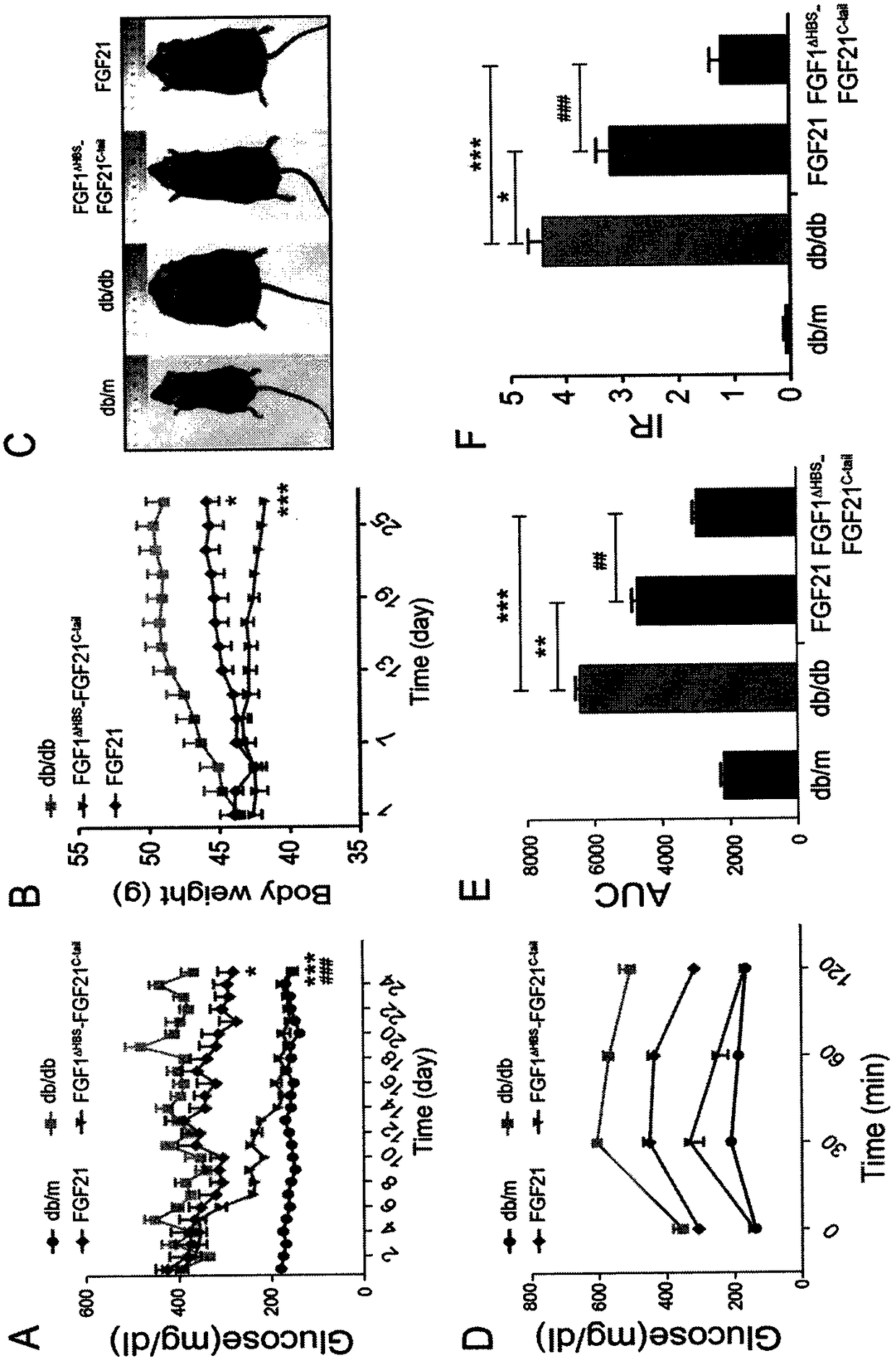 FGF1-FGF21 chimeric protein and application of same to treatment of diabetes