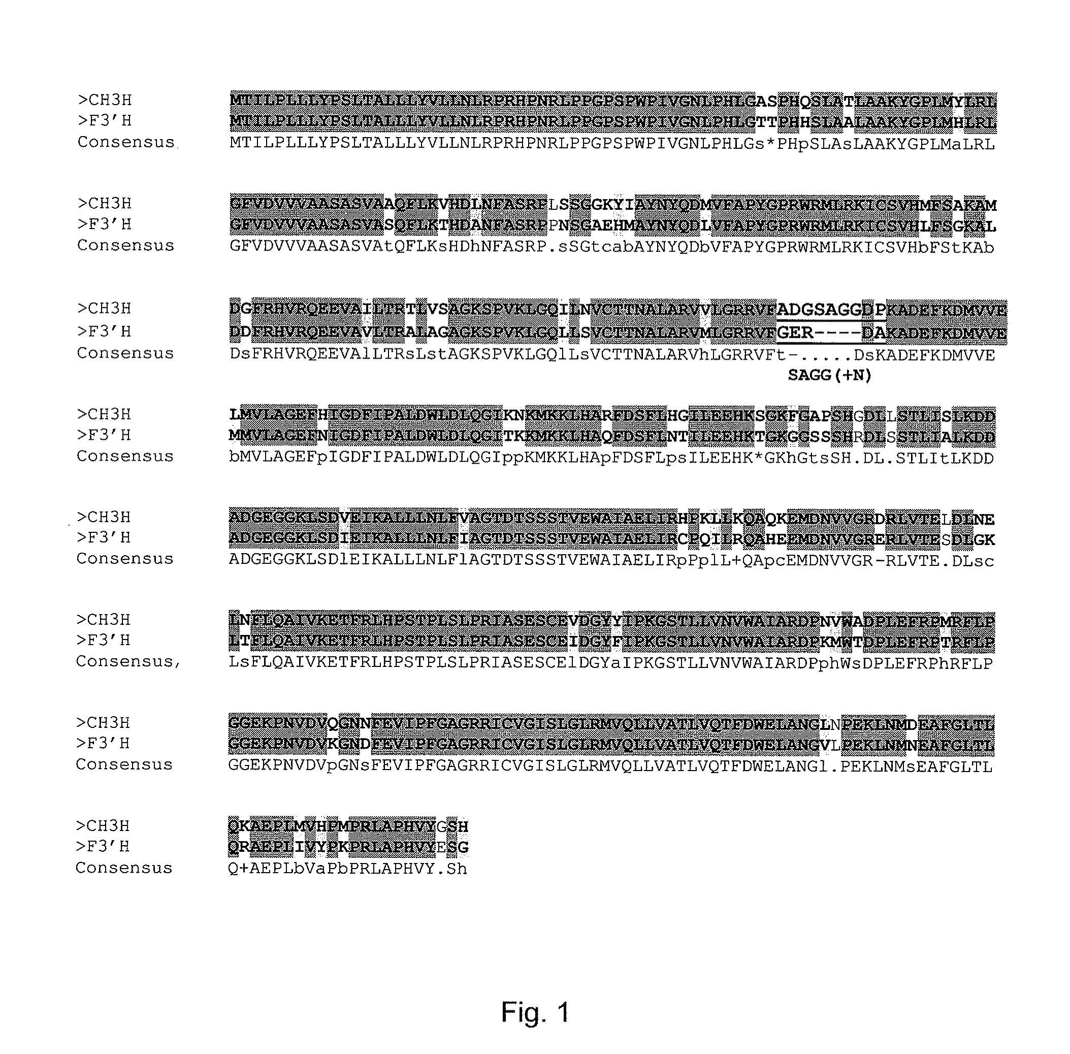 Chalcone 3-Hydroxylase