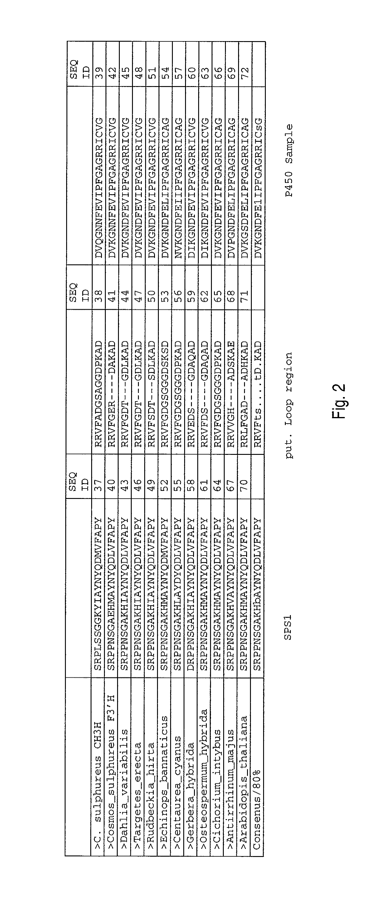 Chalcone 3-Hydroxylase