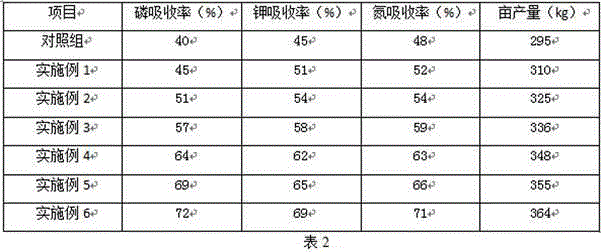 Planting method for improving yield of Radix Scrophulariae