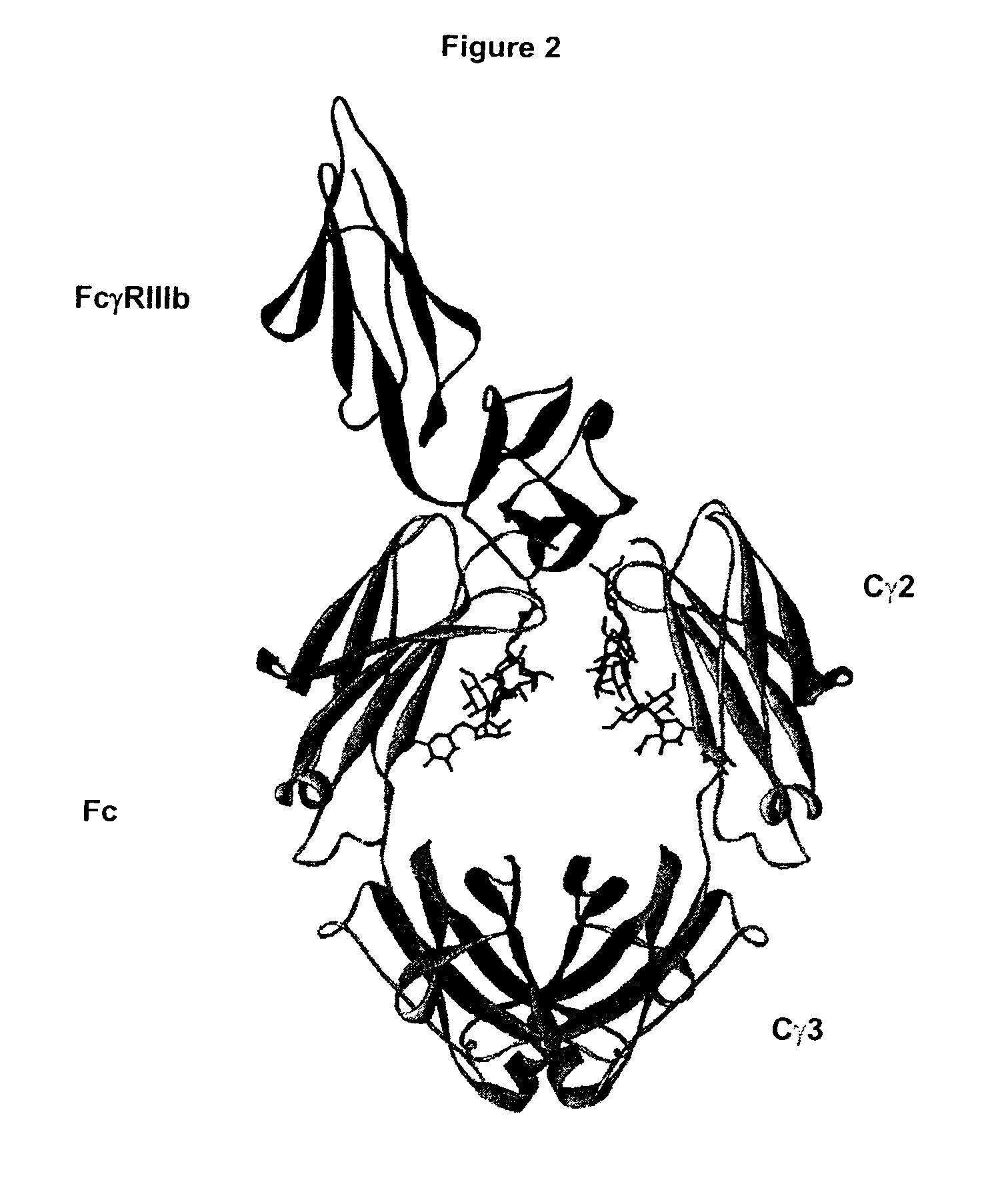 Fc Variants Having Increased Affinity for FcyRllla