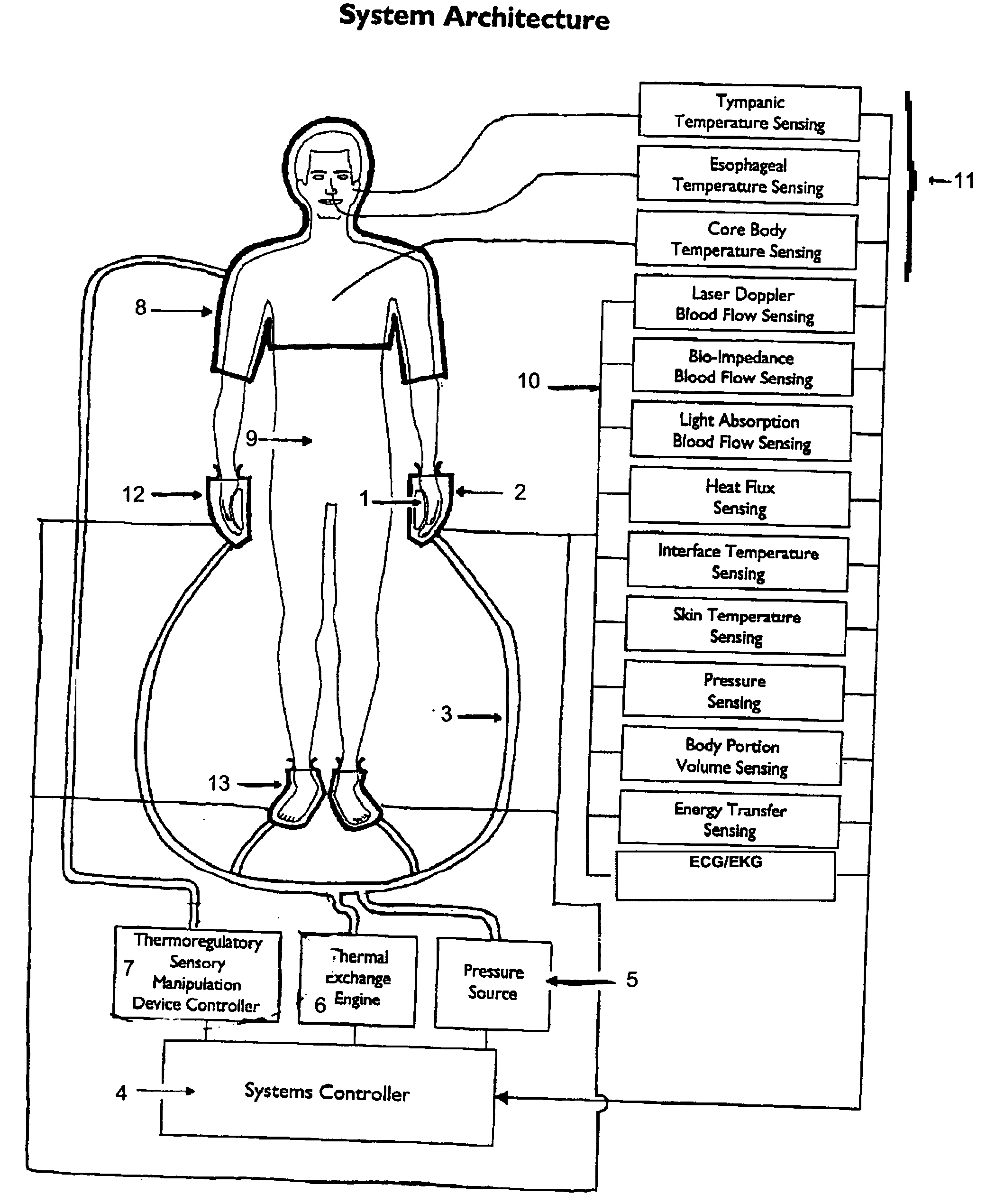 Controlled heat transfer with mammalian bodies