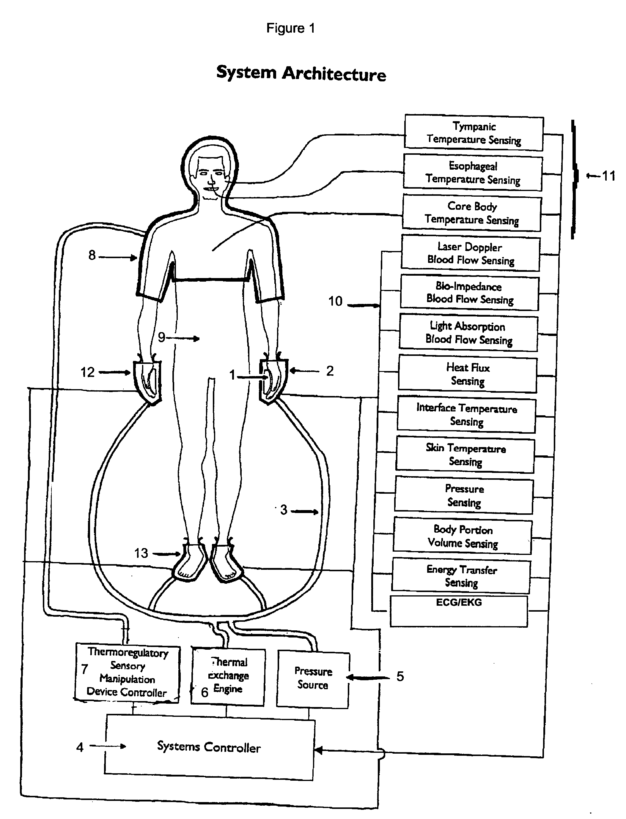 Controlled heat transfer with mammalian bodies