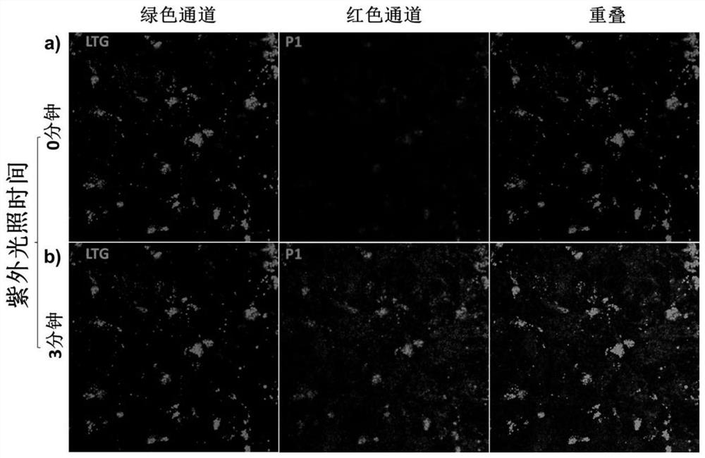 A kind of acid-resistant light-controlled fluorescent molecular switch and its synthesis method and application