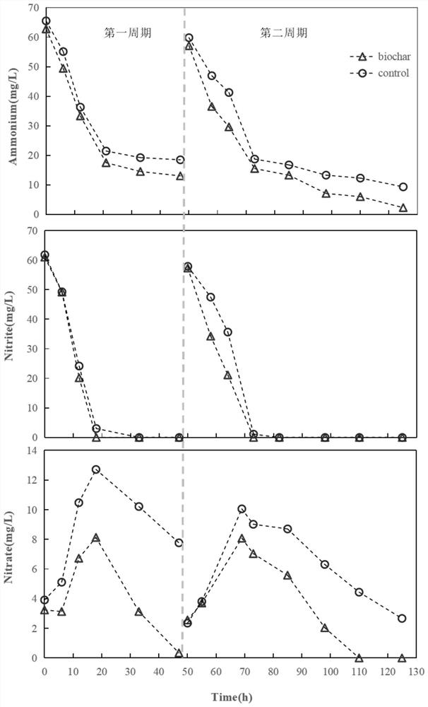 Method for improving denitrification performance of anaerobic ammonia oxidation system by adding biochar